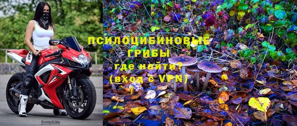 стафф Армянск