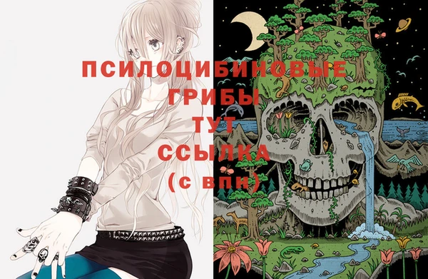 стафф Армянск
