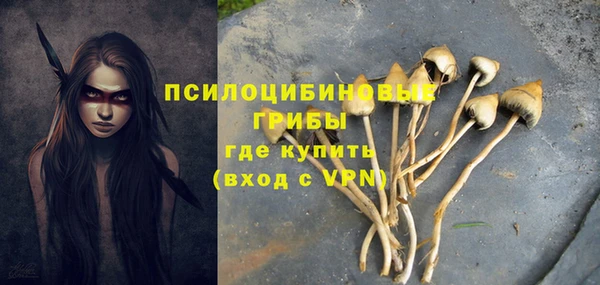 стафф Армянск