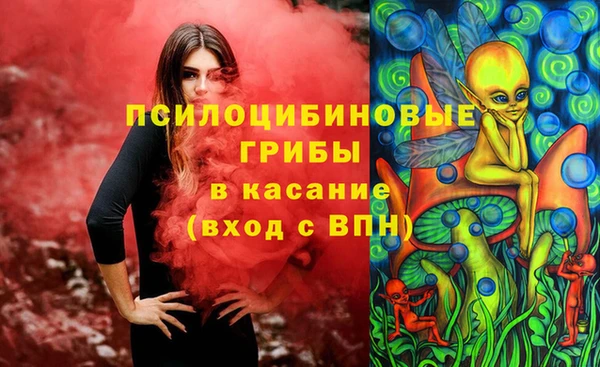 герыч Арсеньев