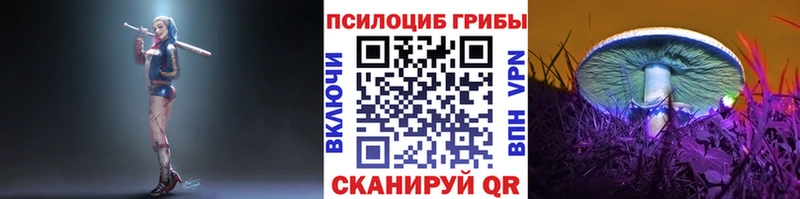 где купить наркотик Калачинск Галлюциногенные грибы прущие грибы